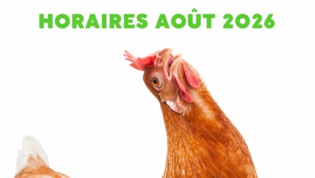 horaires des poussins de la souleie