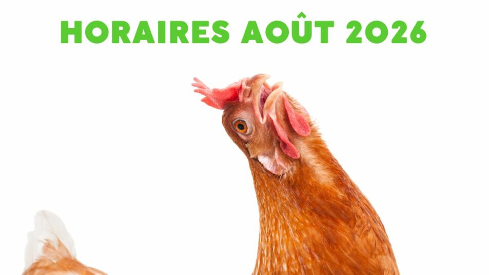 horaires des poussins de la souleie